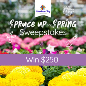 Contest Image Contest Image